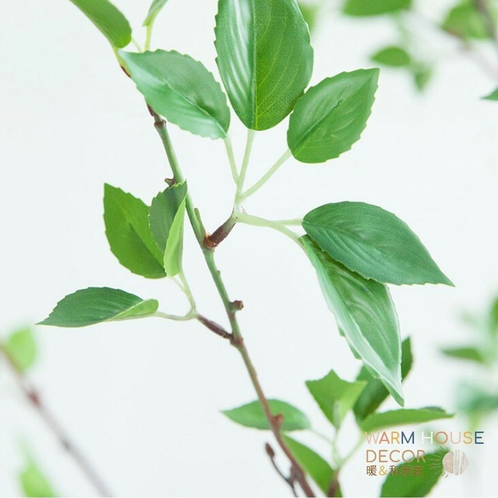 7d18fafcc7863d21fe5c03884c5ca3b1