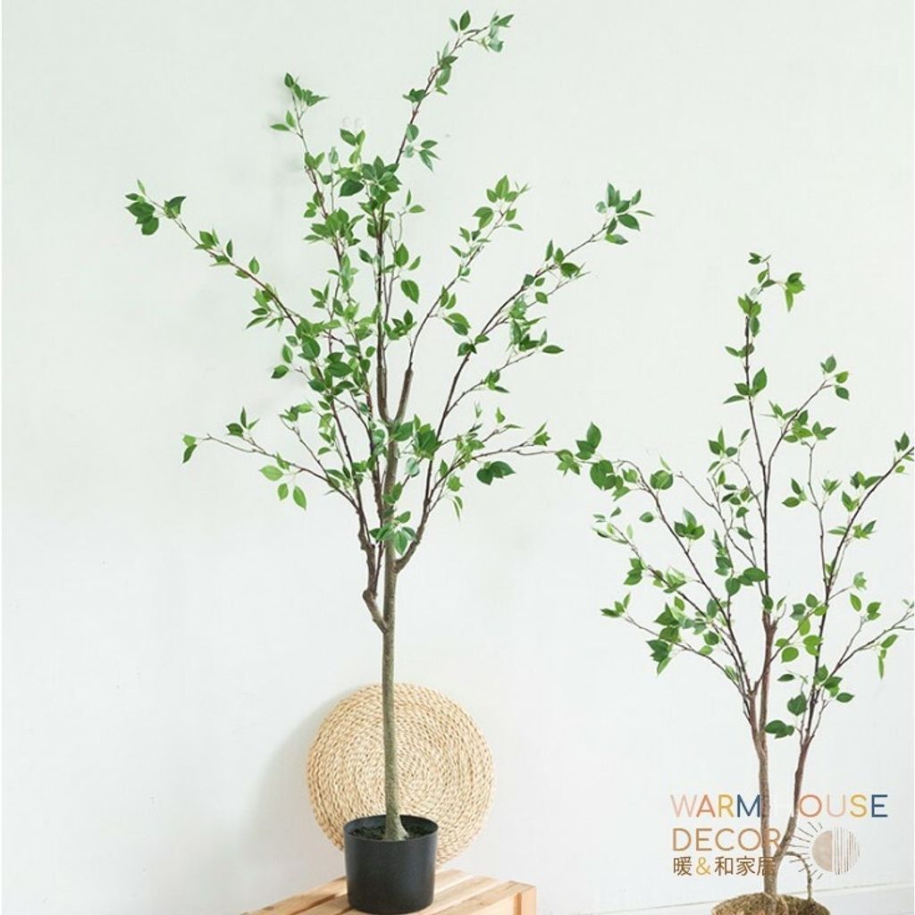 504d6cc83a8c08eb73c65eb3b62d07d5