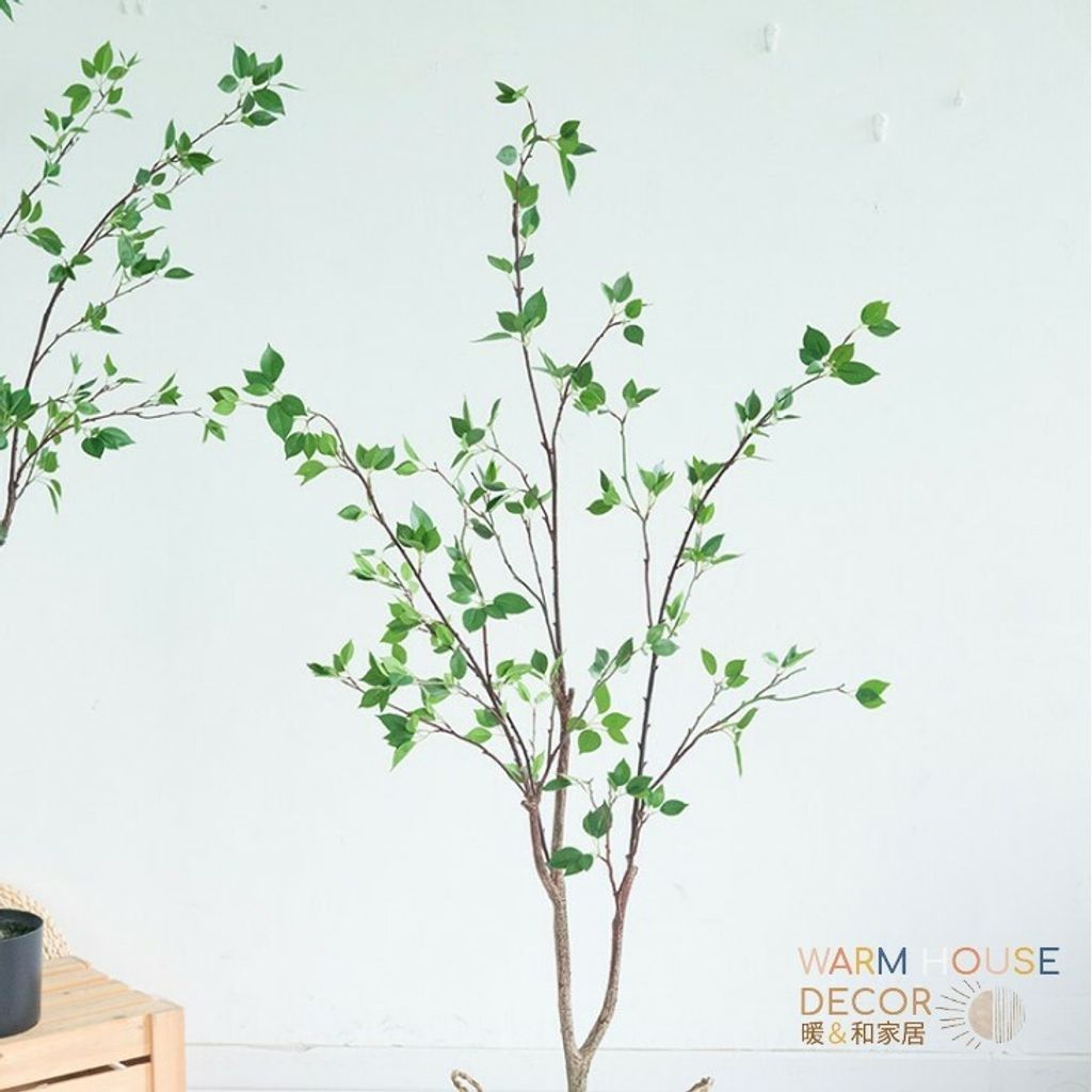 cc59208364d805313c5a1b2c2346a51a