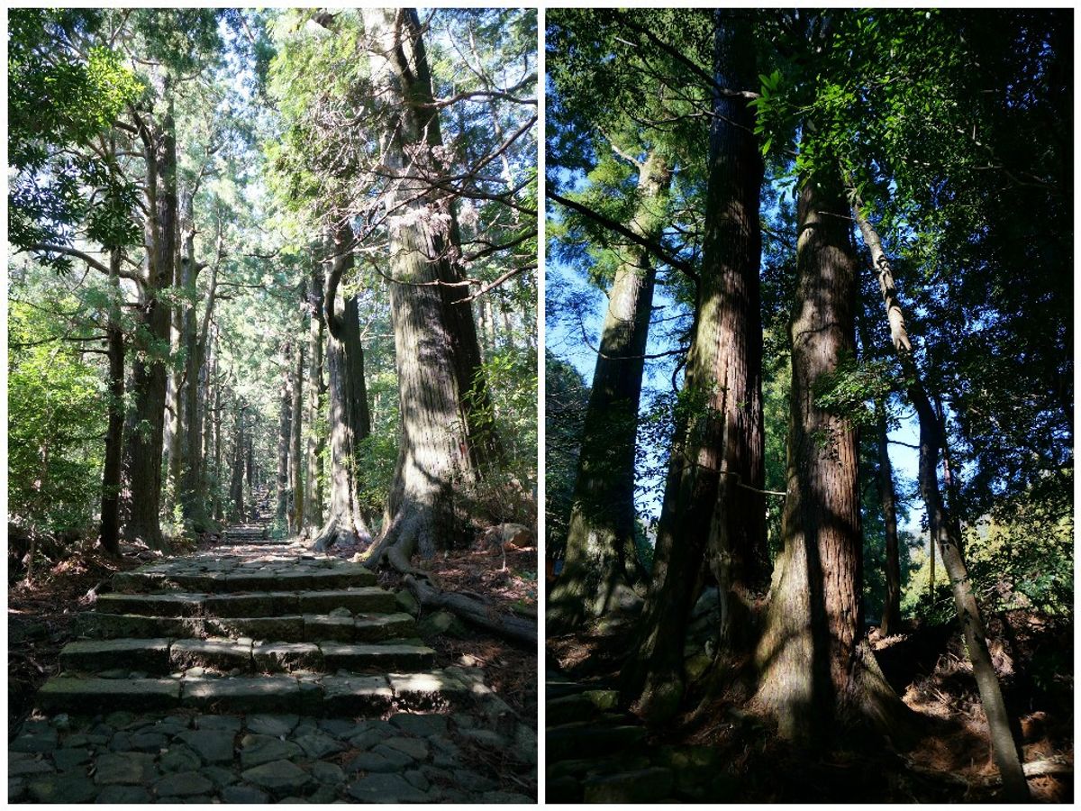 【日本紀州】熊野古道散策．漫步大門坂路段，巡禮那智大社與青岸渡寺