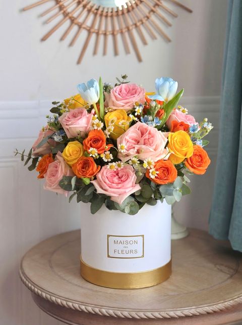 image_1B4593FB-DD11-4E0E-9F41-0164951788C0_1773899812