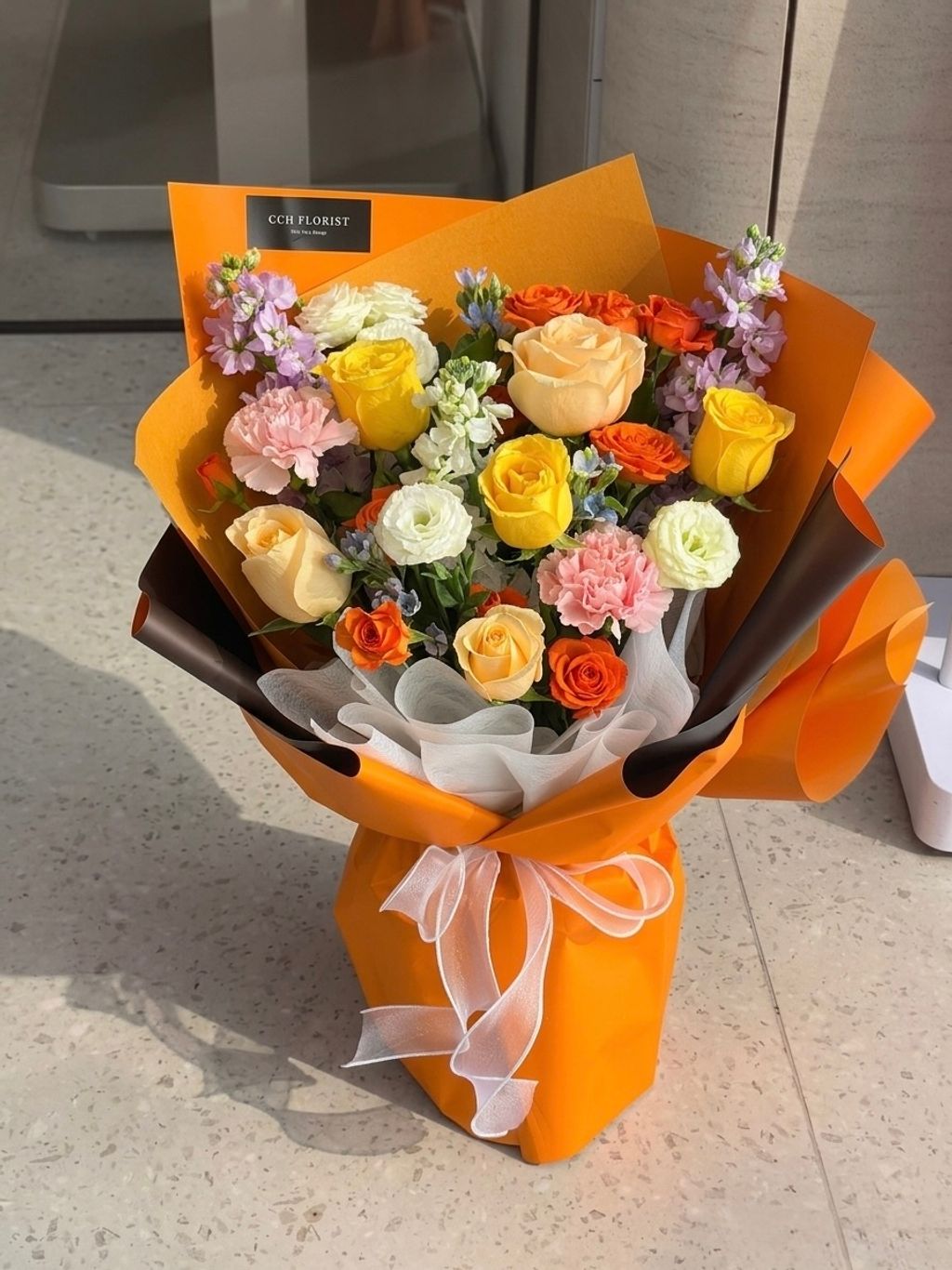 image_E235A04E-2632-4F34-B44D-DD325FFF5E7E_1774326468