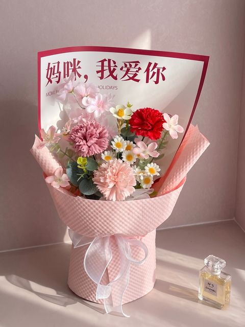 Gemini_Generated_Image_v855fkv855fkv855 (1)