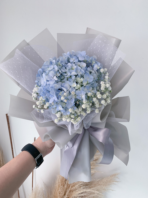 hydrangea.png