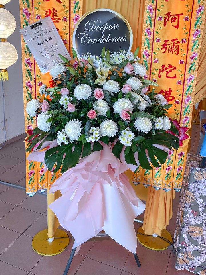 IMG_6081.png