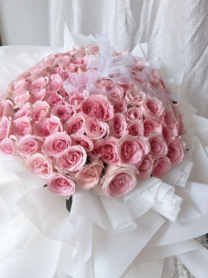 pink roses99