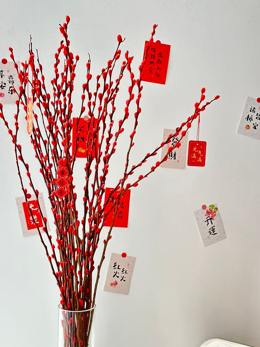 IMG_4836-1704439543339