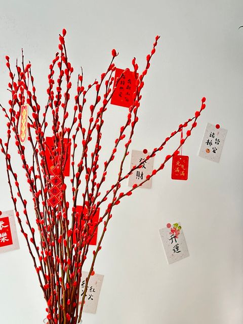 IMG_4837-1704439543340