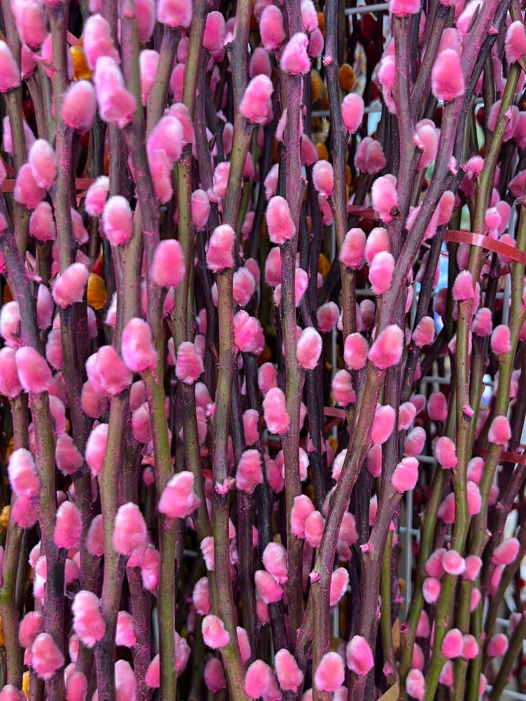 WhatsApp Image 2024-12-31 at 14.38.14_48bfab62