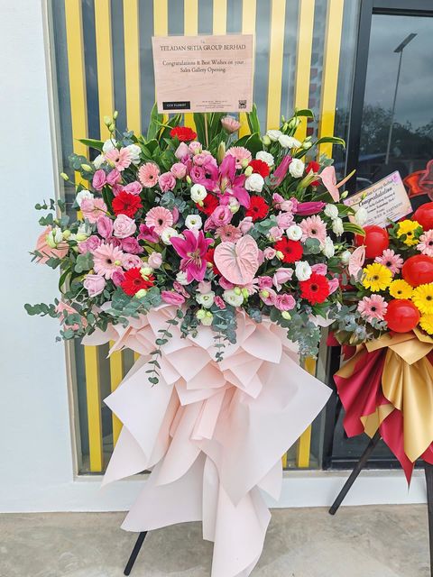 image_4E57B641-F8B9-499D-9020-E151DB8C83DE_1771752599