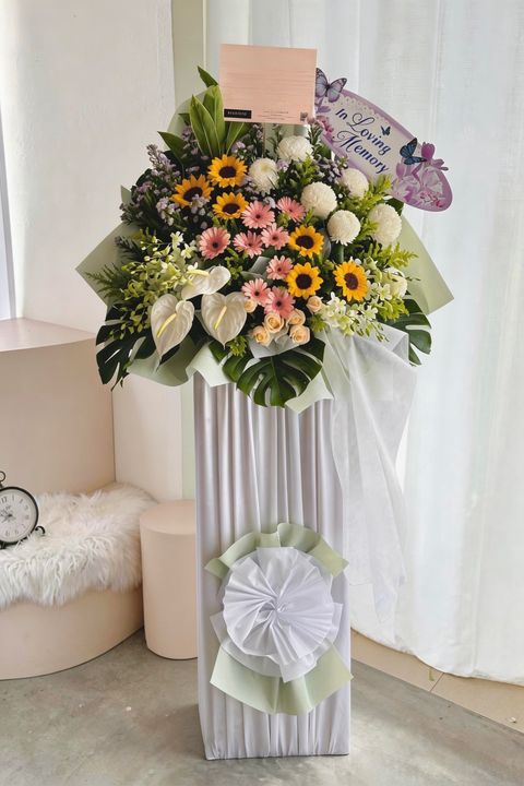 image_D3EFC736-DD7C-48C8-94F9-6B49C43CDC13_1772116416