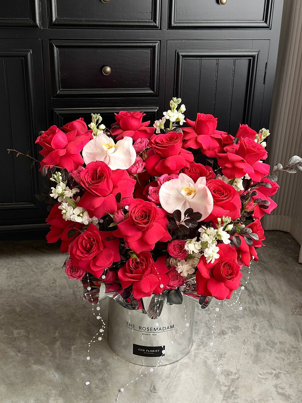 image_2D5C6EBD-167B-4ADB-9811-D0CFF6D2DE01_1772257250