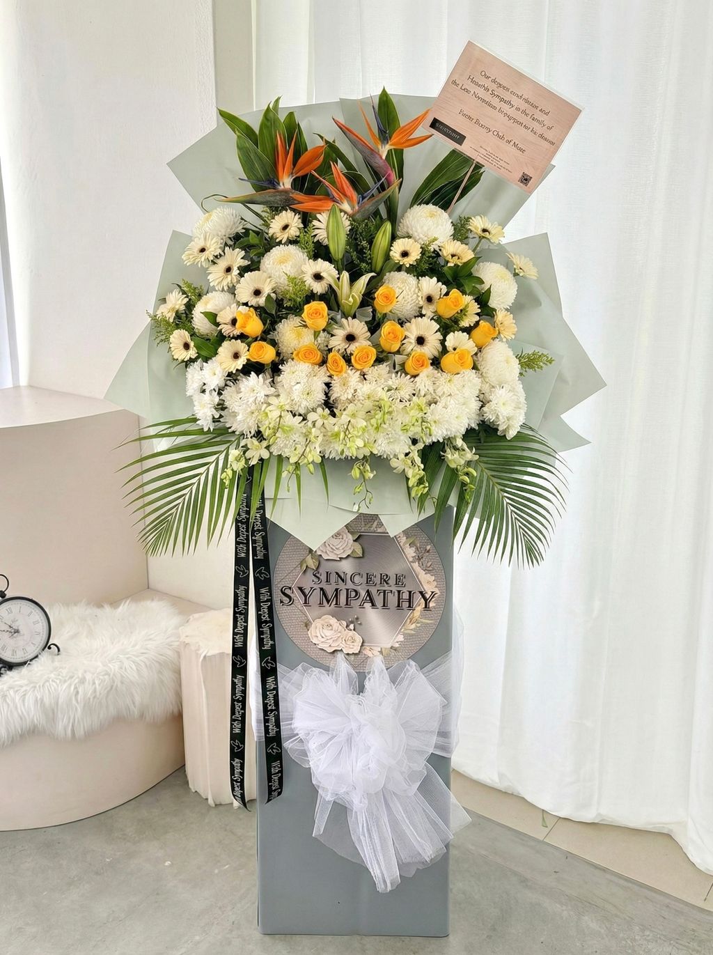 image_7D4023CA-352D-4A07-9547-083DDBC8D2BE_1772263651