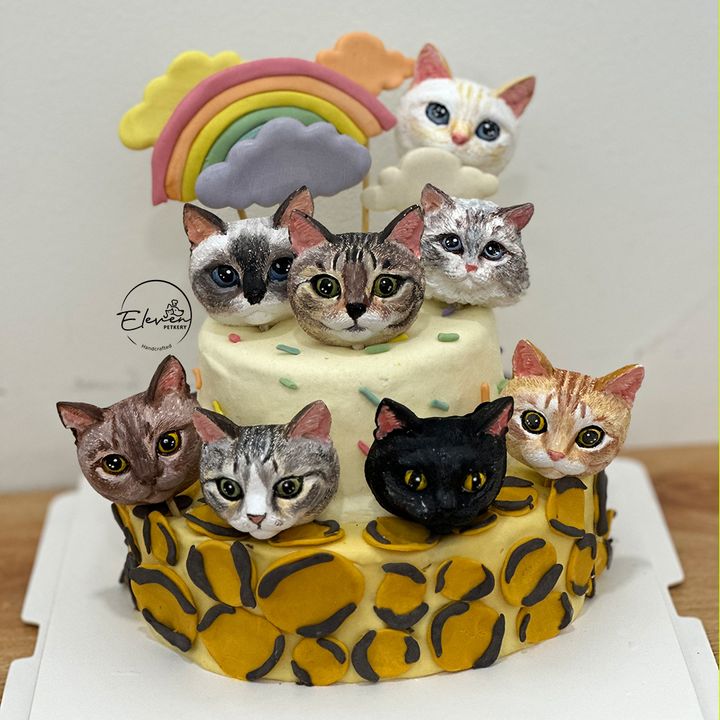 Leopard Rainbow Theme