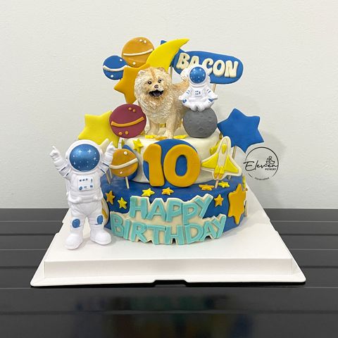 Double Tier Astronaunt Theme
