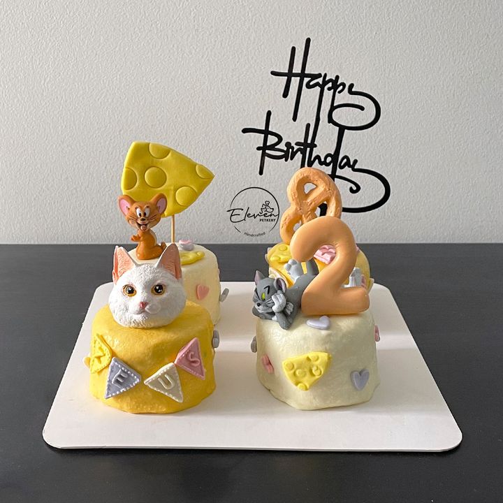 Tom and Jerry Theme