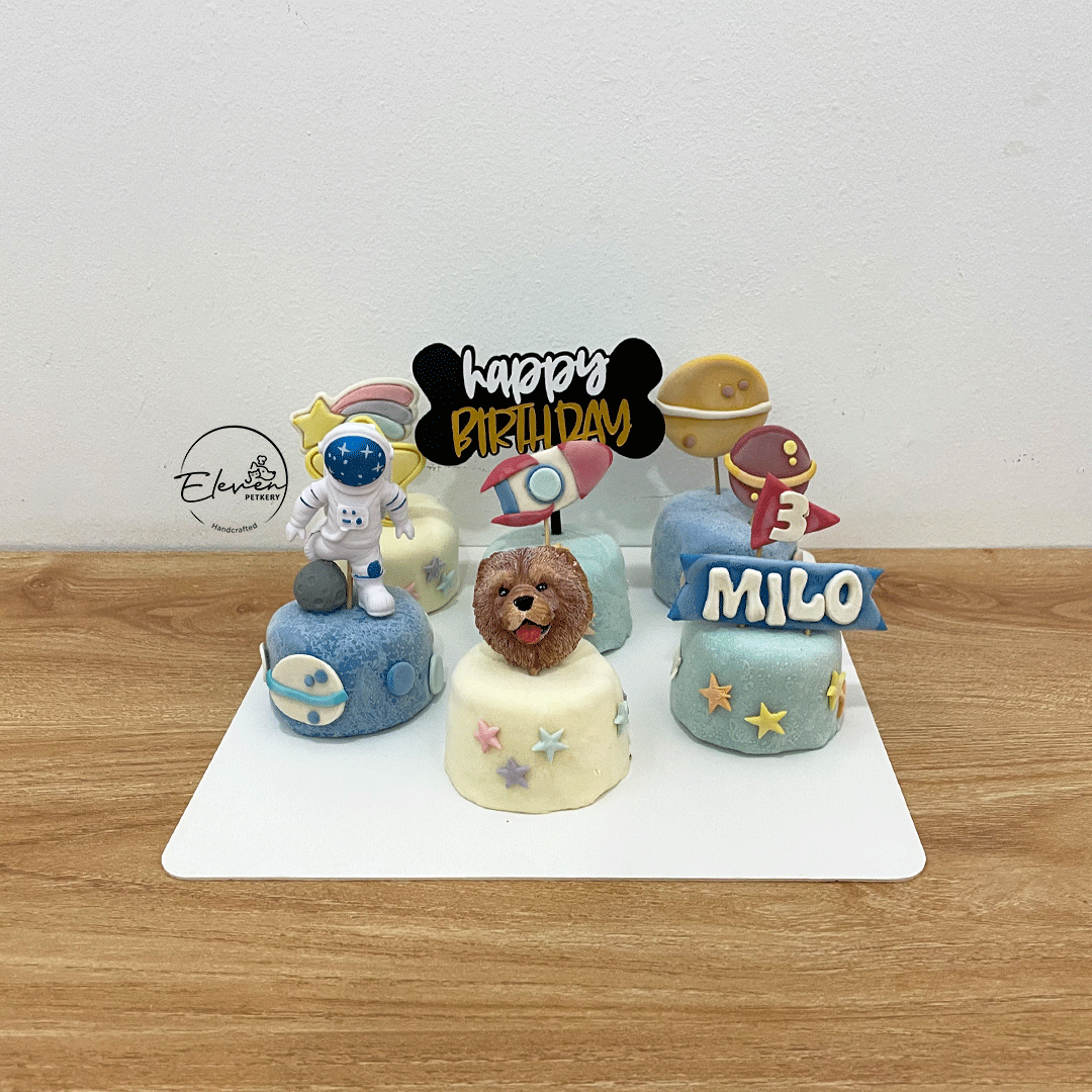 Astronant Minicake Theme