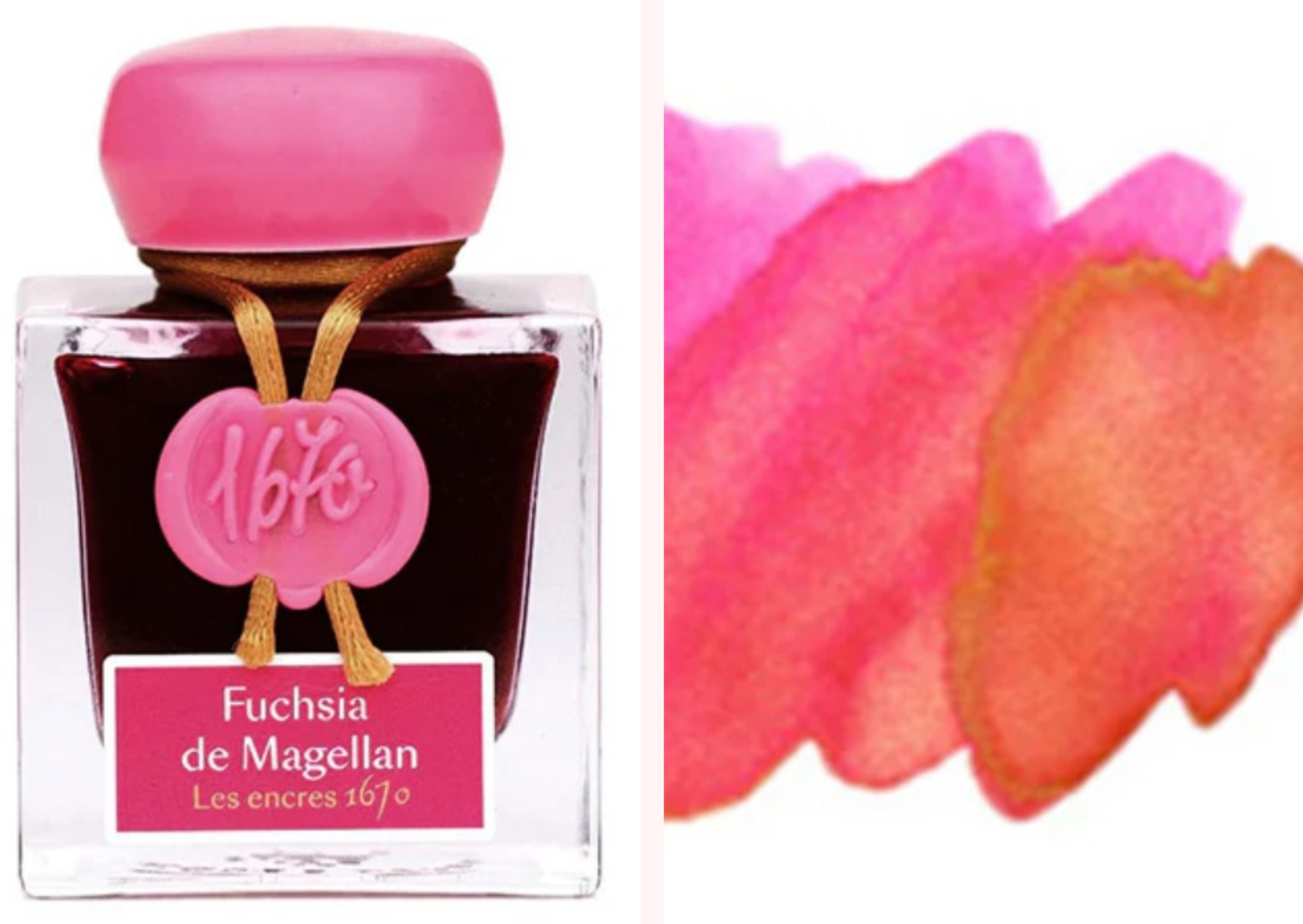 Fuchsia de Magellan