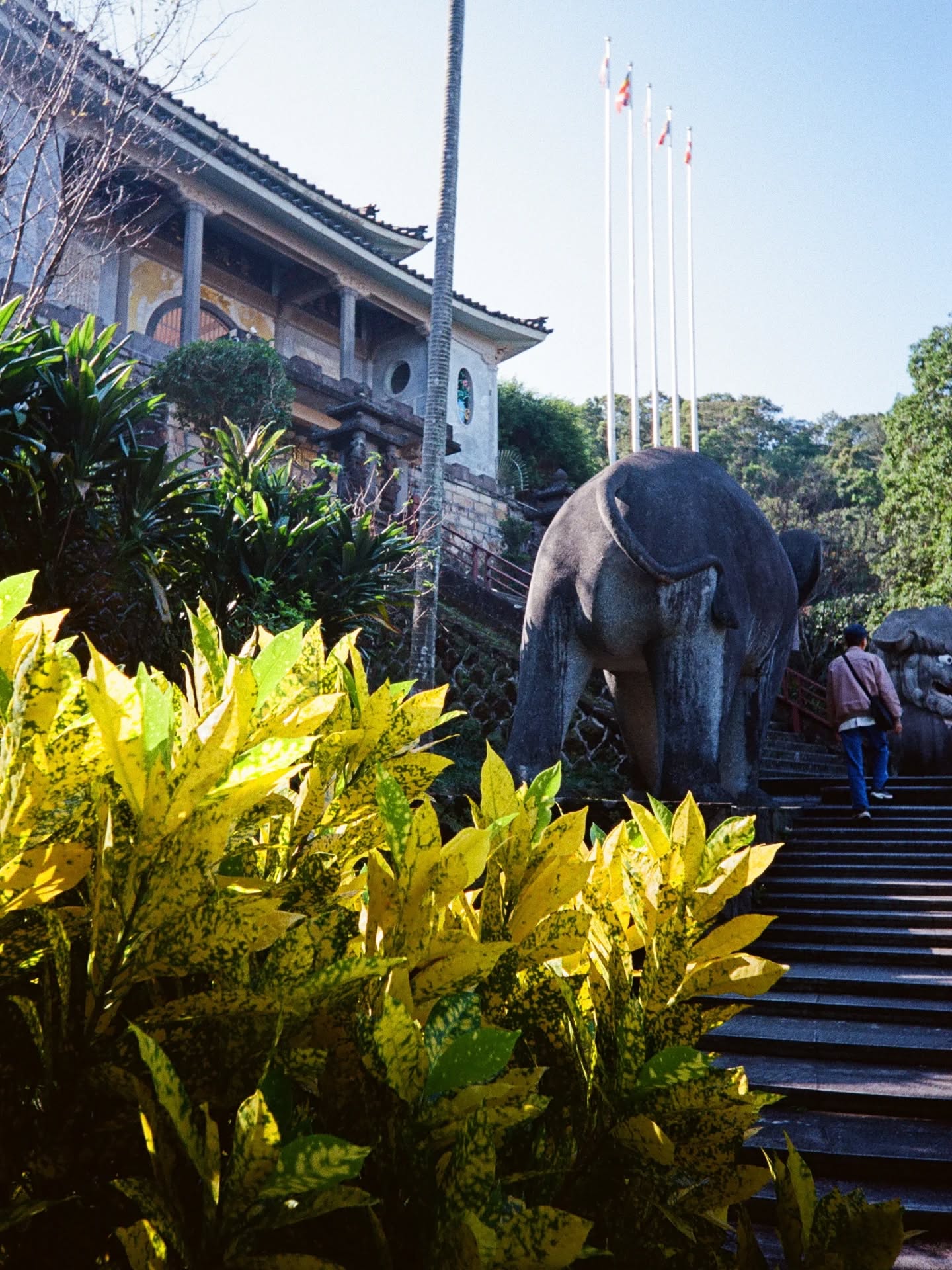 602898456_18551565406005347_5201305793345413635_n