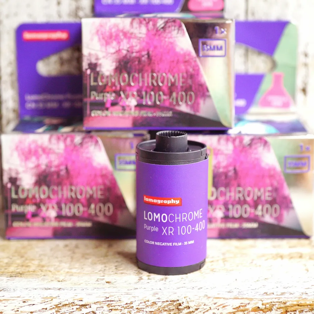 lomogroaphy purple 2