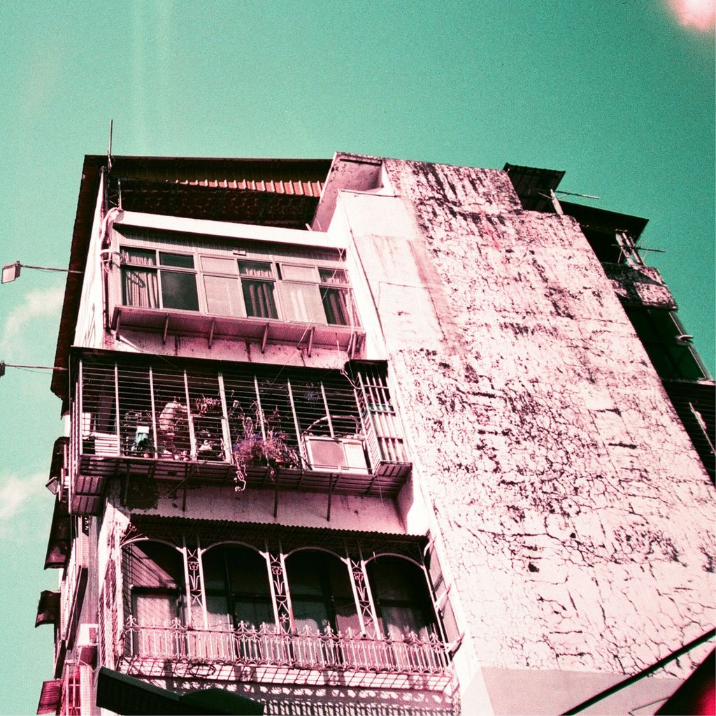 lomogroaphy purple 7