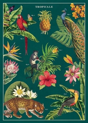 WRAP-TROPICALE-2T