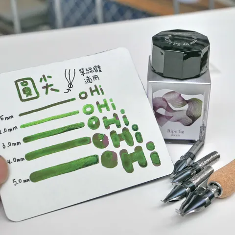453061144_1241119597306597_3107486113162245330_n