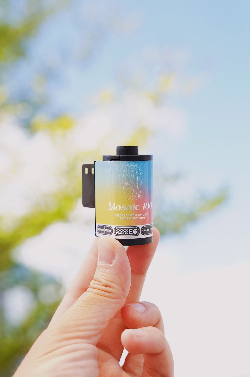 458513803_10163722631526978_352904277203941489_n