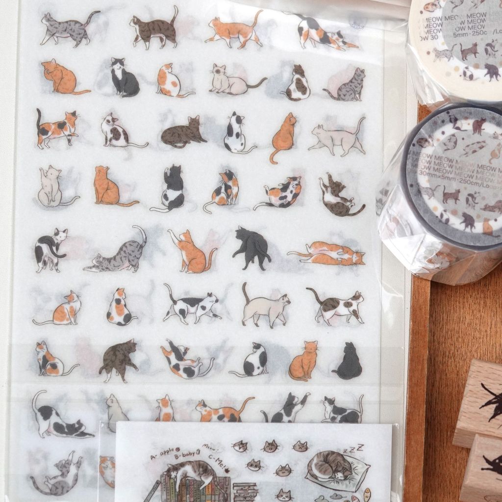 465373606_10163932290916978_6964688097661969195_n