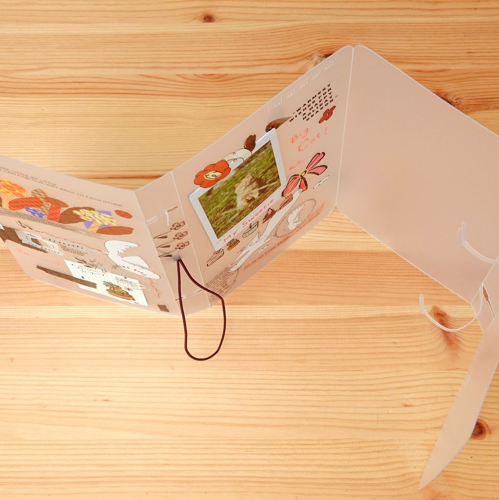 505726030_10165240005106978_2817408185206918890_n