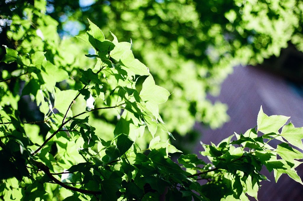 515206030_1134026172091731_8438247293758825565_n