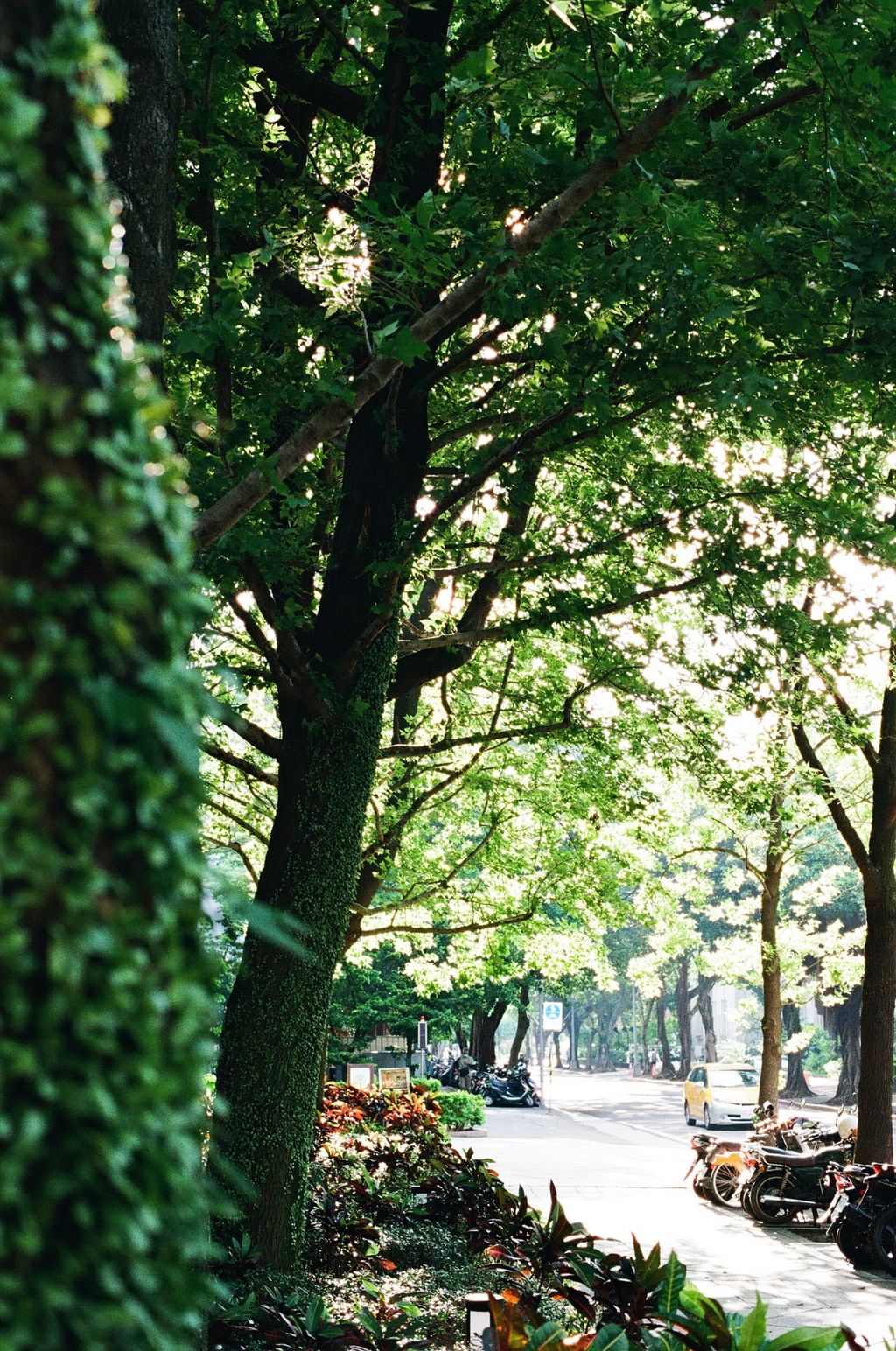 514315439_1134026328758382_1482120118869881198_n