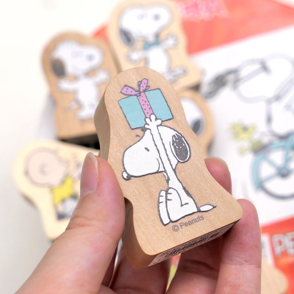 515436456_1134289048732110_6728632421678254087_n