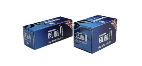 螢幕擷取畫面 2025-07-16 144744