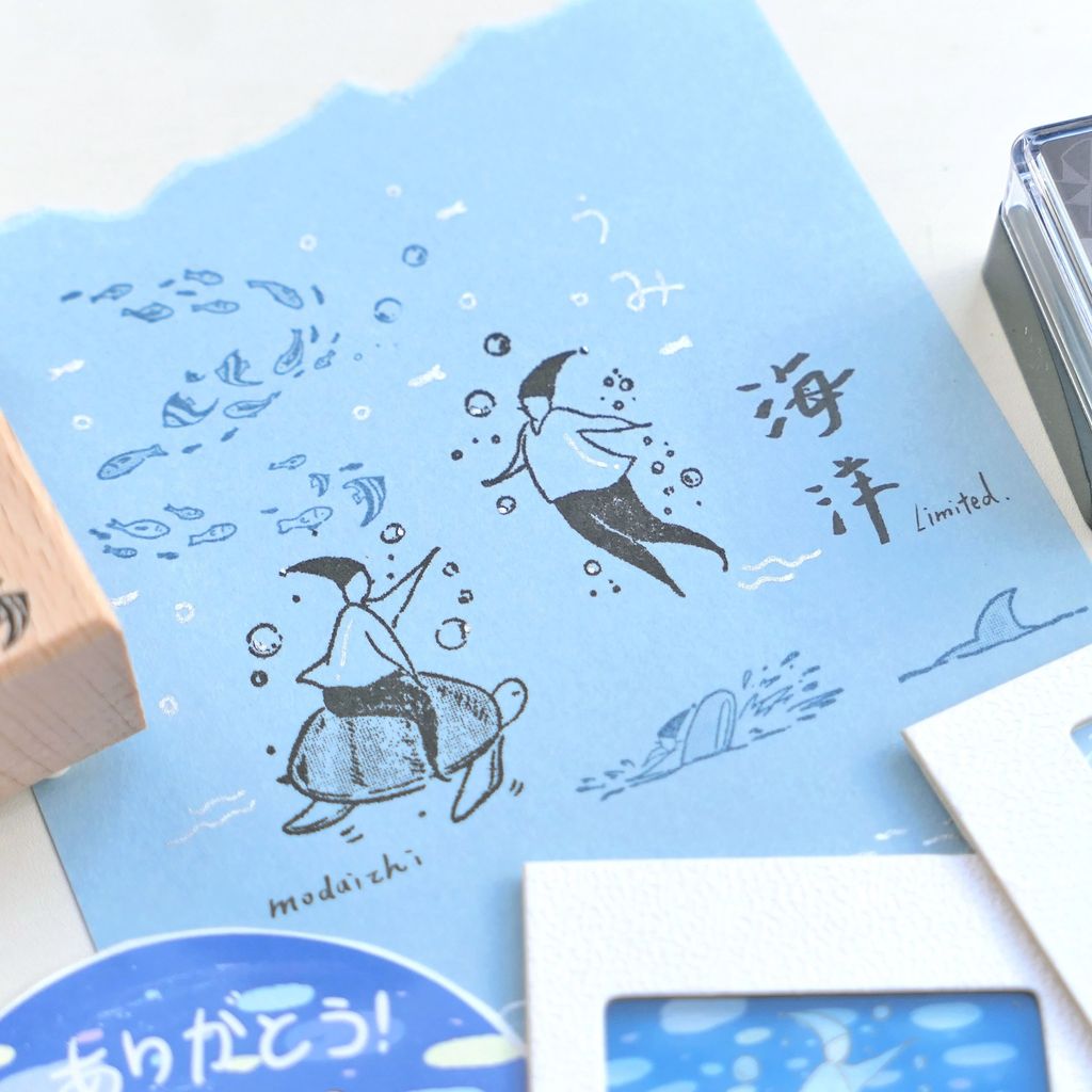 528597633_1160489236112091_1440190411903083322_n