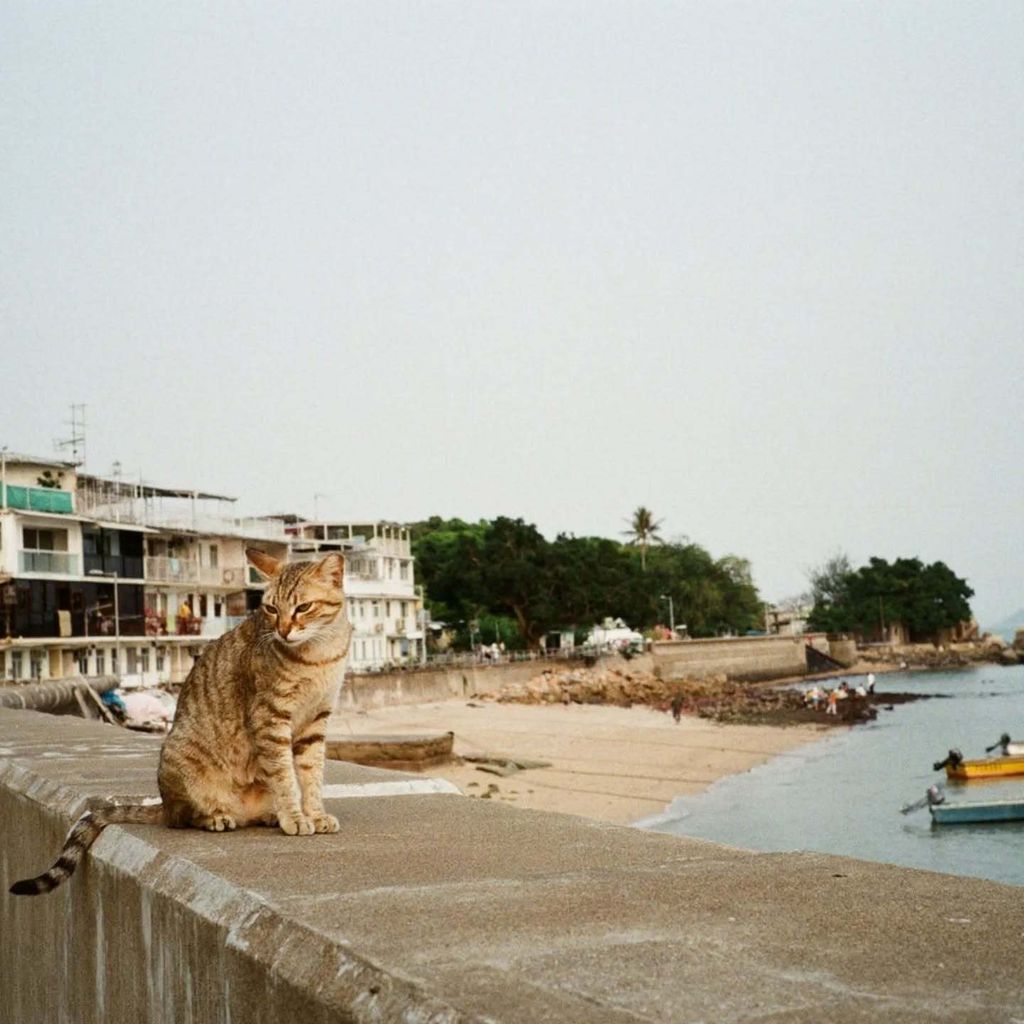 559016788_18536458657005347_7908819939494086742_n