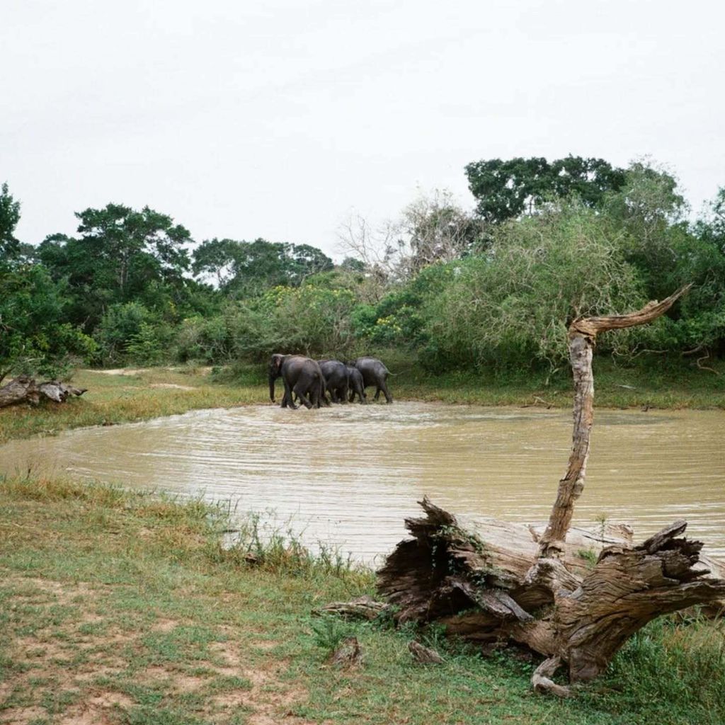 559000270_18536458666005347_8851703550044312340_n