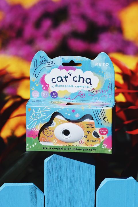 5EE68DB6-DC0A-4882-B8FF-9CE430E65FA6_1