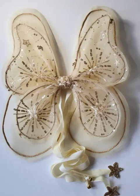 2C7506FB-0F55-4F1F-B295-0E075EB22602