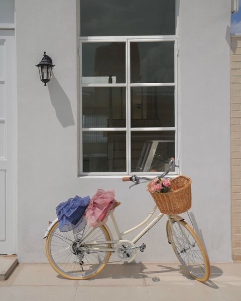 image_753753D7-FB66-4208-9096-7E4898144970_1755517508