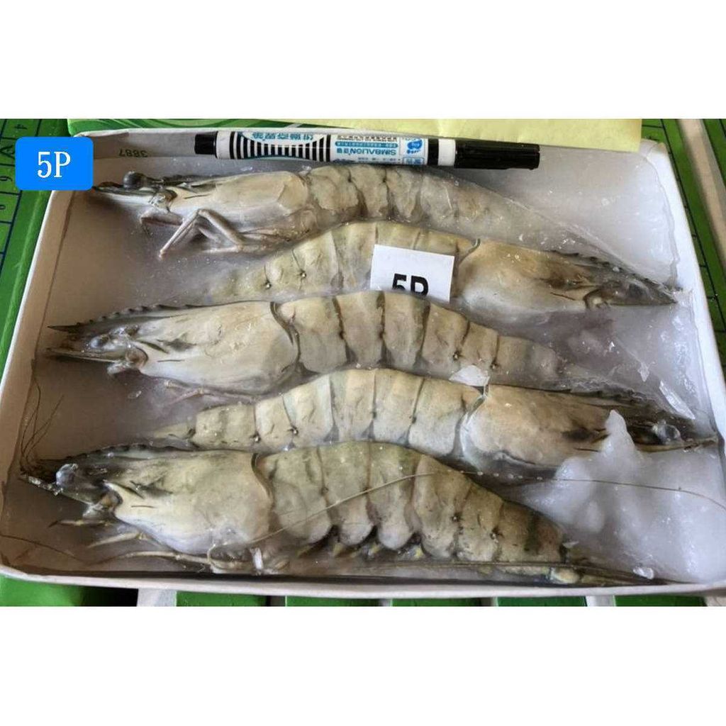 5P
