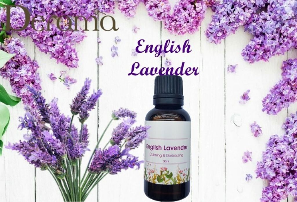 Deroma English Lavender 1 - Copy (Custom).jpg