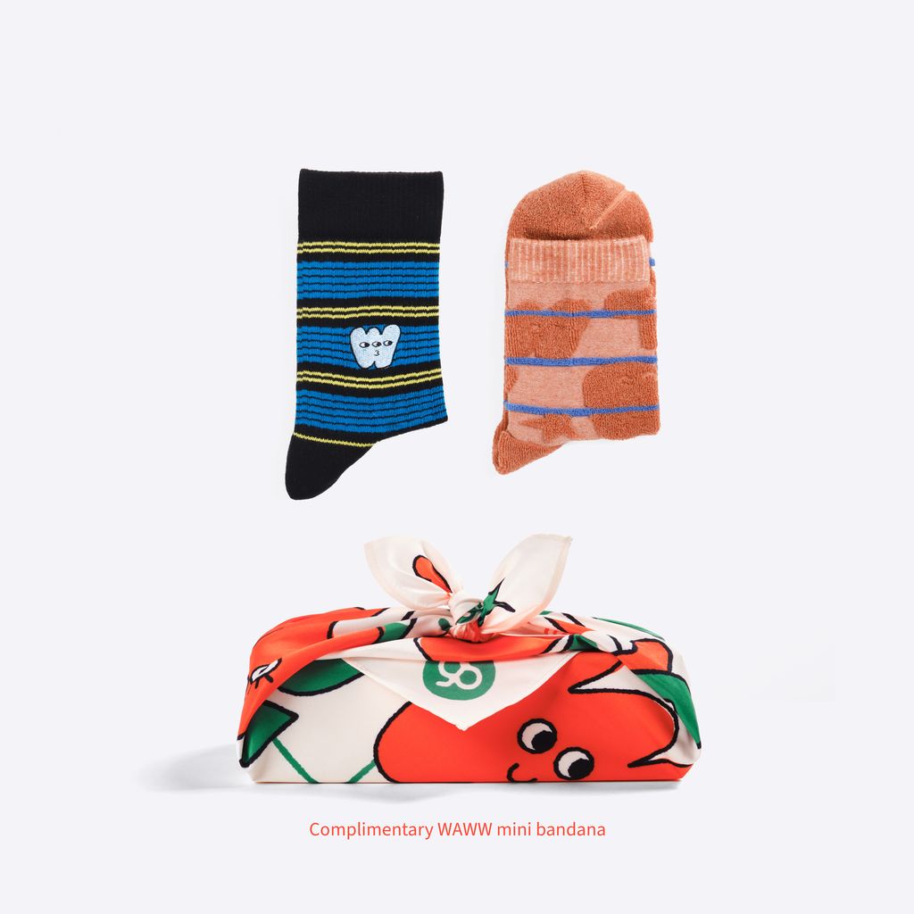 SOCK_composer_1x1_06