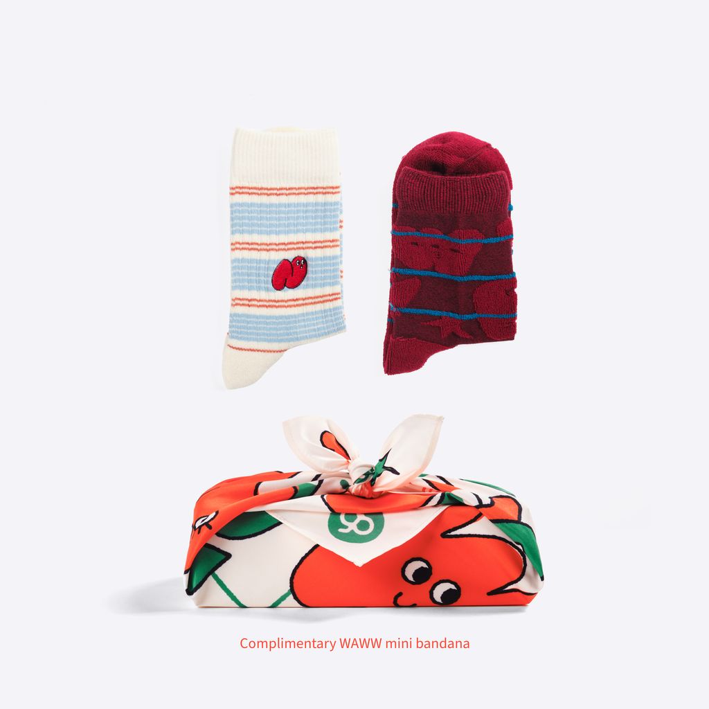SOCK_composer_1x1_21