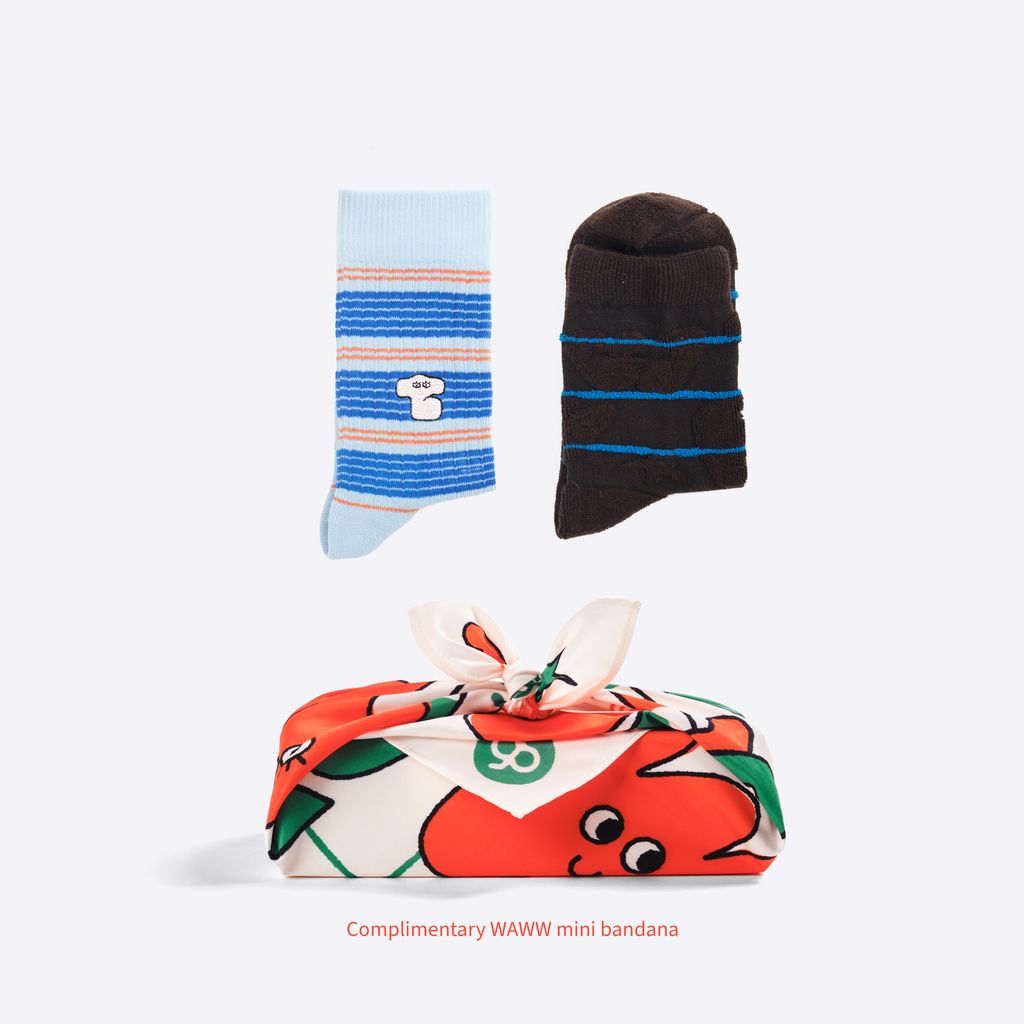 SOCK_composer_1x1_17