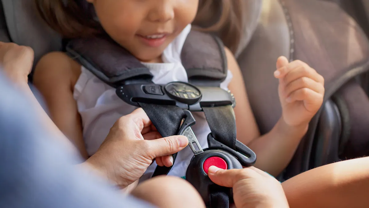 car-seat-straps