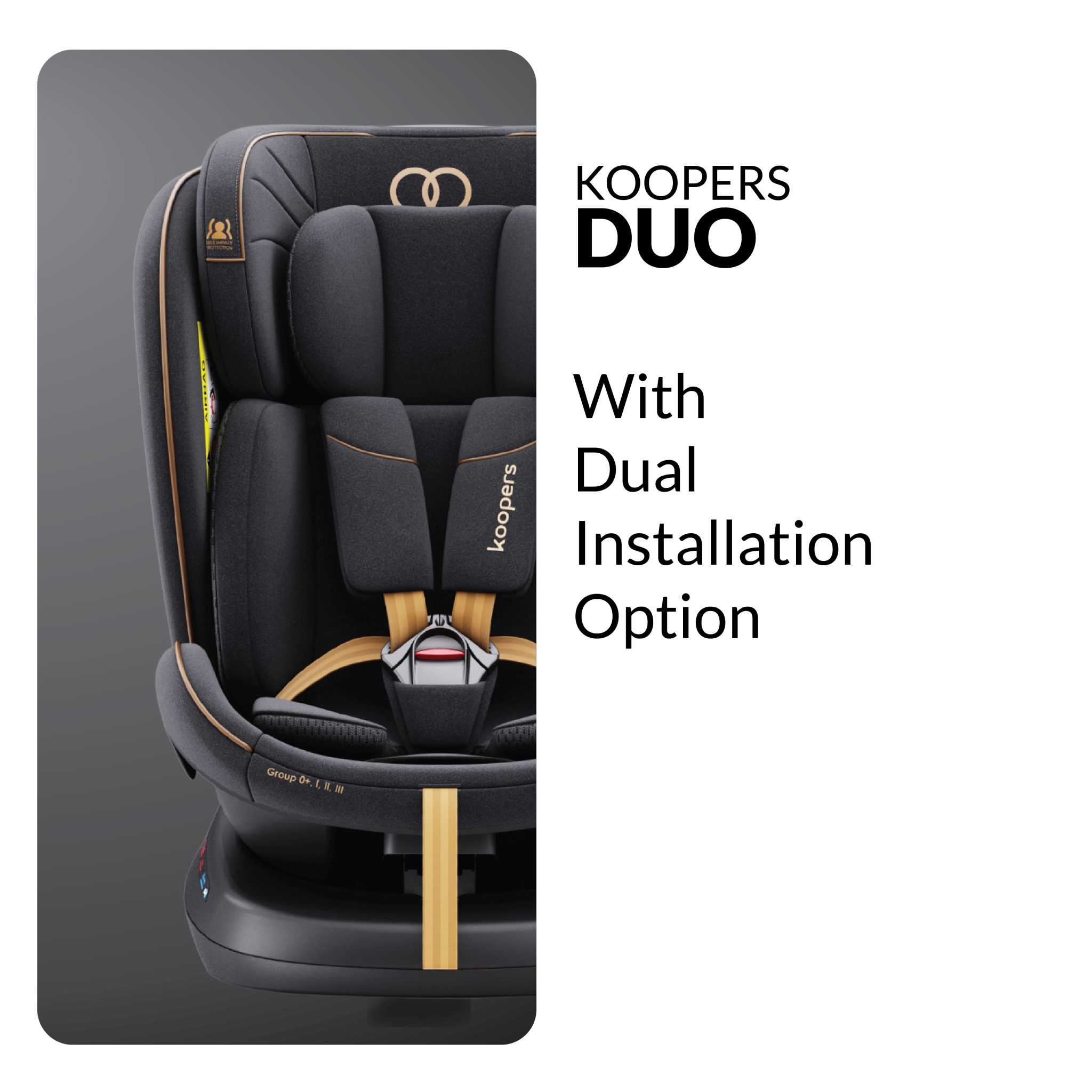 duo car seat 1