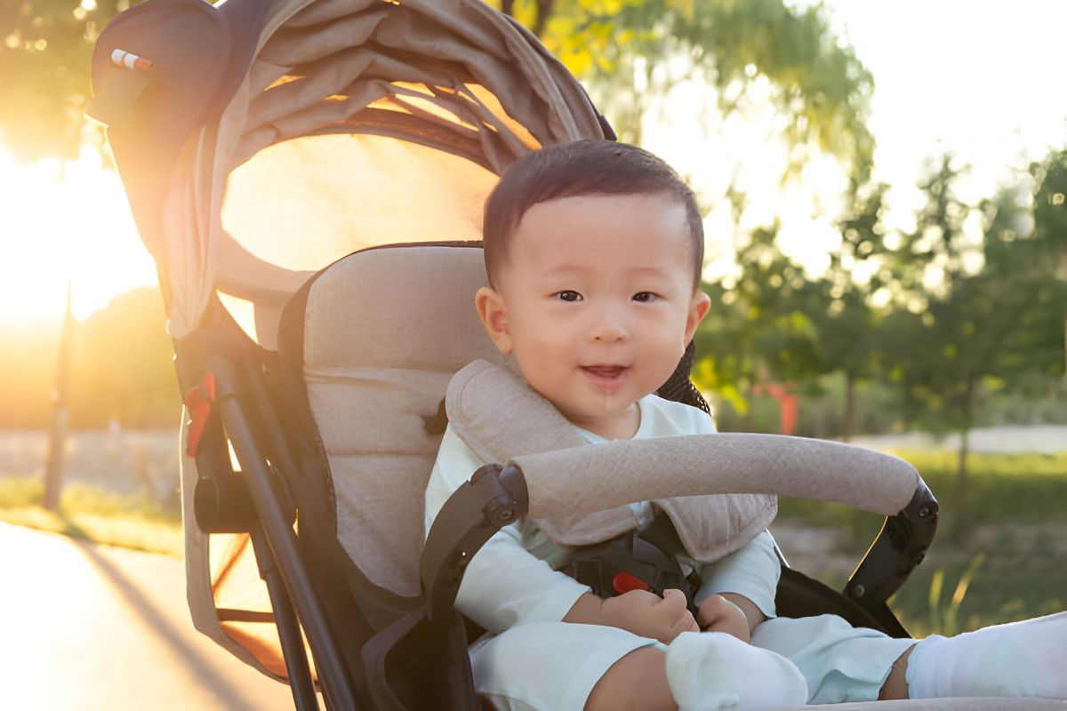 Types of Two-Way Strollers: An Ultimate Guidance