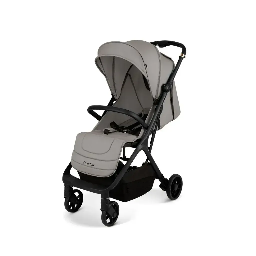 QuintonOnTheGo(Grey)