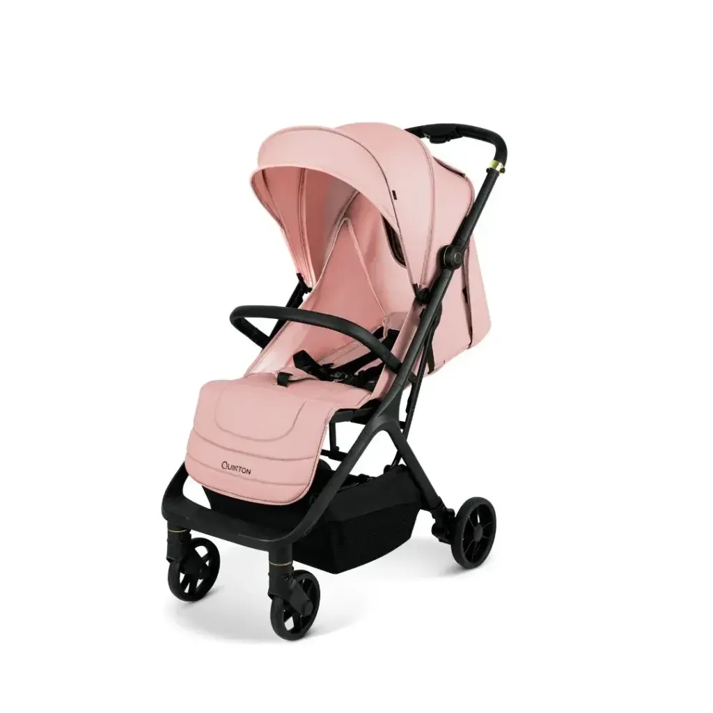 QuintonOnTheGo(Pink)